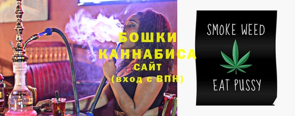 молекула духа Бердск