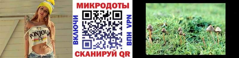 Купить закладки  Юрга  Псилоцибиновые грибы GOLDEN TEACHER 